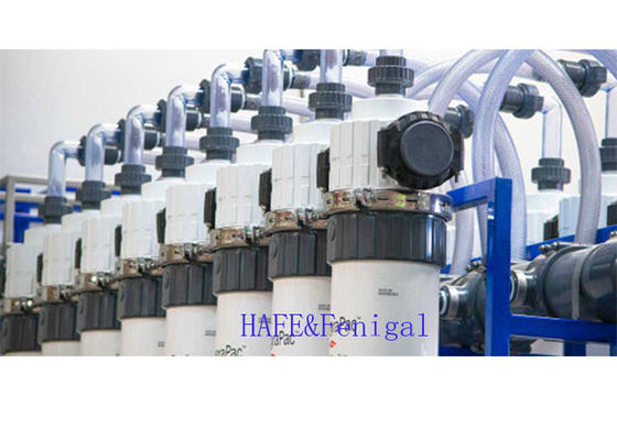 Phạm vi dòng chảy 1.3    4.0 m3/h 33m2 PVDF DOW Ultrafiltration Membrane Modules SFP-2660 / SFD-2660