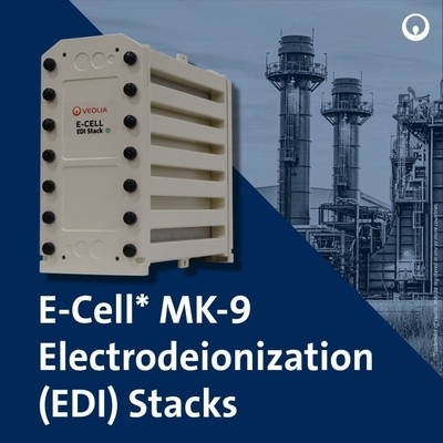 Hệ thống EDI Veolia MK-9 cho nước siêu tinh khiết 35 GPM dùng trong sản xuất pin mặt trời